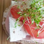 Sandwich saludable - Blog1
