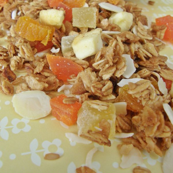 Granola tropical