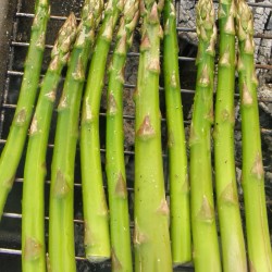 Espárragos a la parrilla – www.pizcadesabor.com