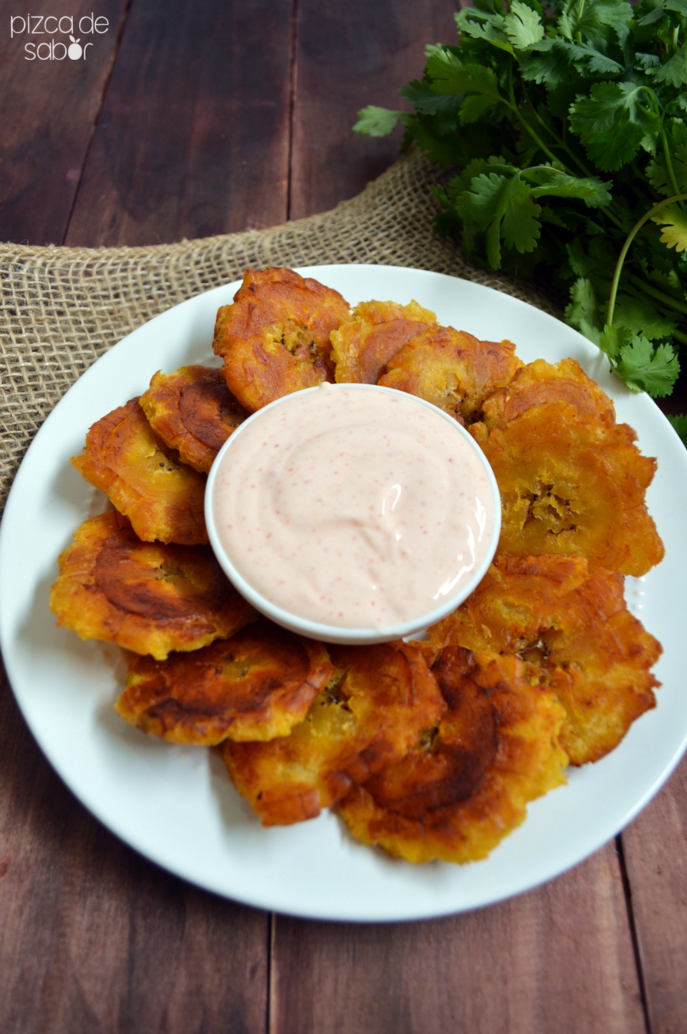 Tostones De Plátano Macho Y Dip De Yogurt Con Chipotle Pizca De Sabor 