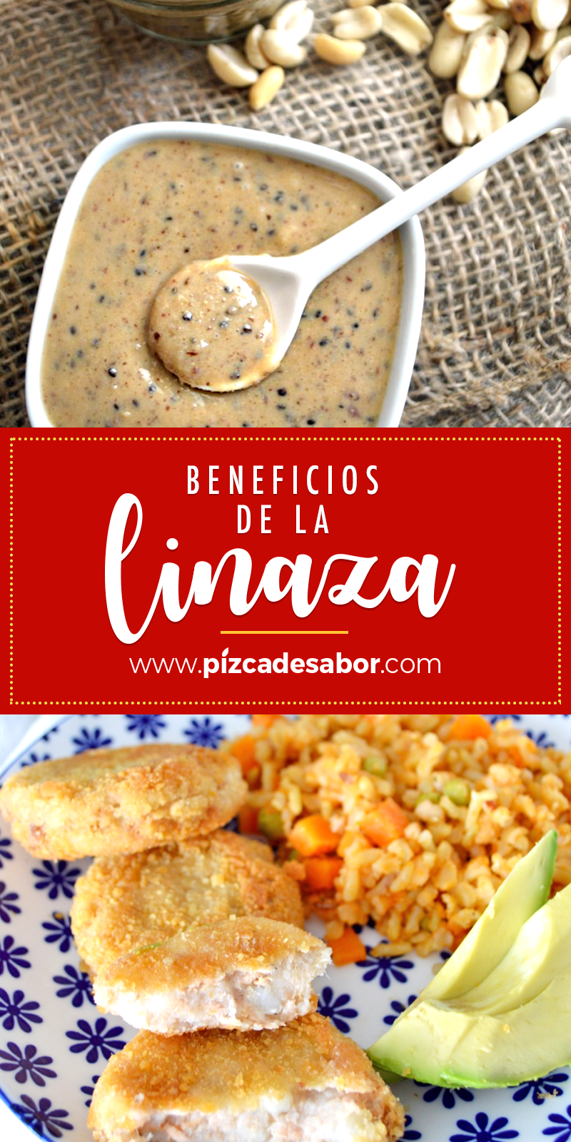 Linaza www.pizcadesabor.com